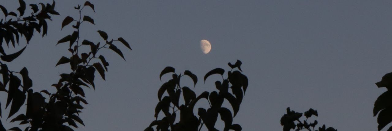 🩵Fairy Tale🇮🇷🧚‍♀️🩵 banner