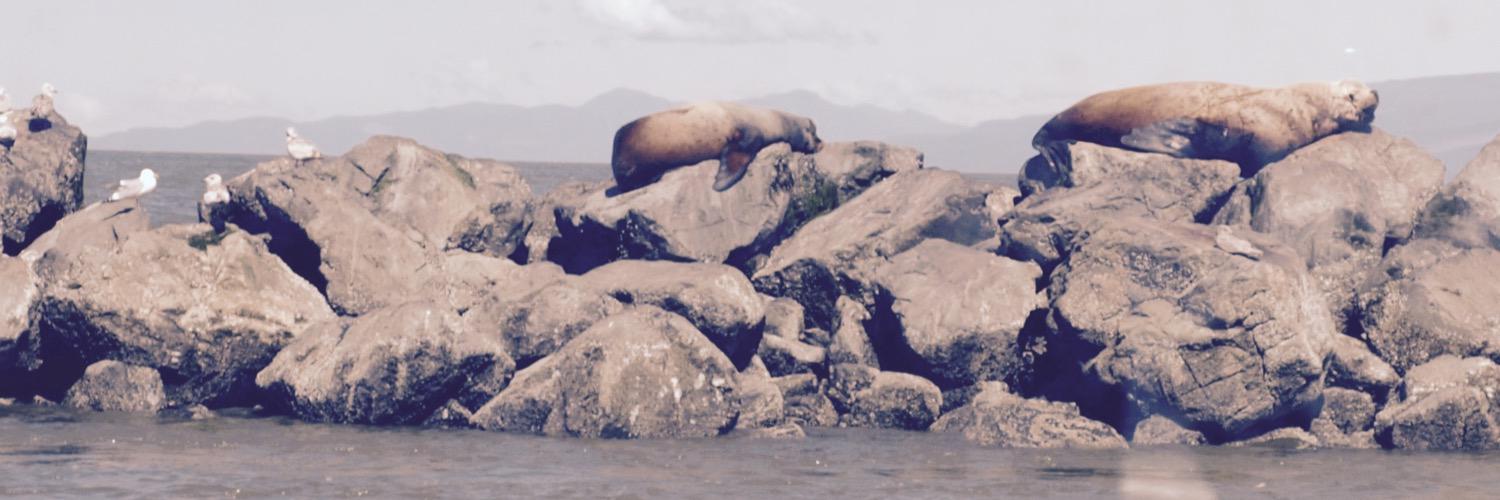 BiologistVolpov's profile banner image