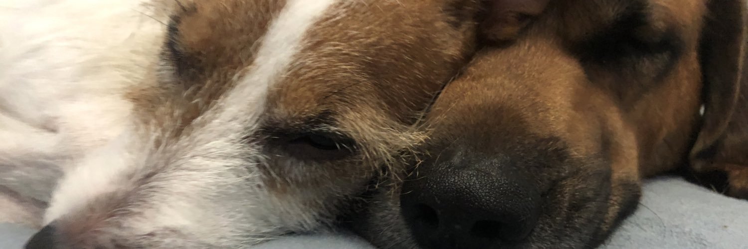 AshtonAshby's profile banner image
