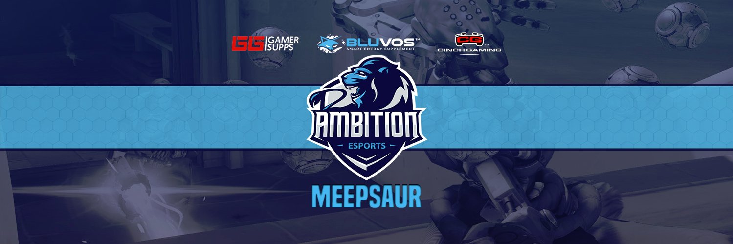 Meepsaur's profile banner image