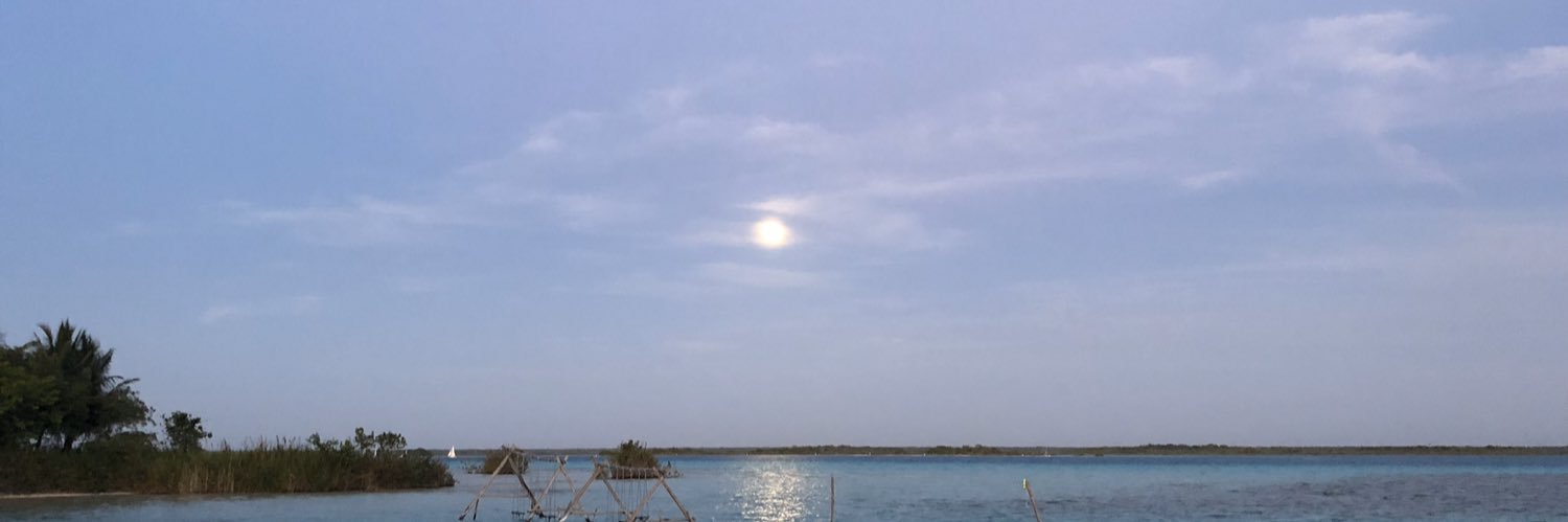 Alessandrormz1's profile banner image