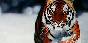 AlexRR93's profile banner image