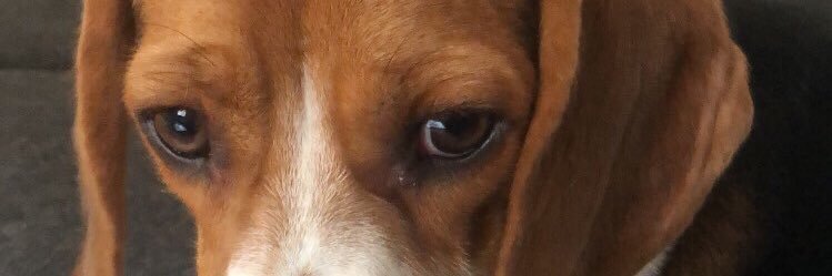 JZaied's profile banner image