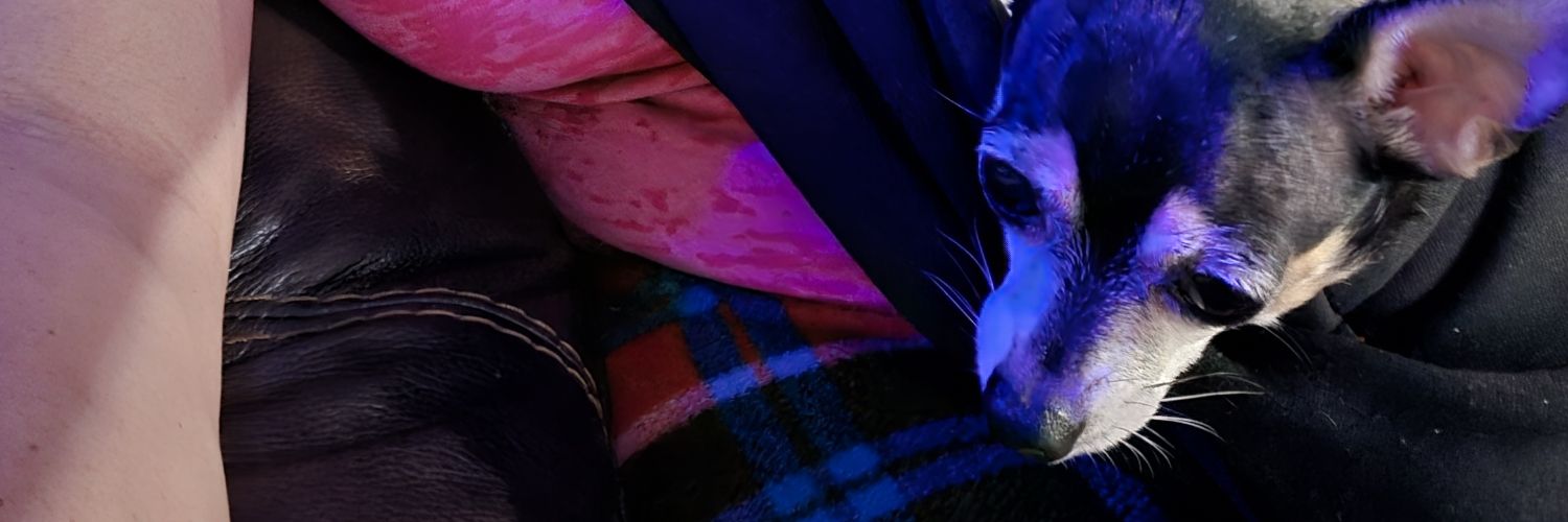 CarolynMarentes's profile banner image