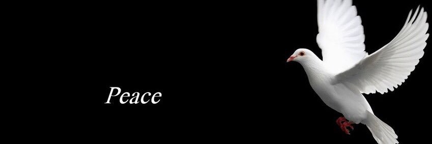 YoussefSfeir's profile banner image