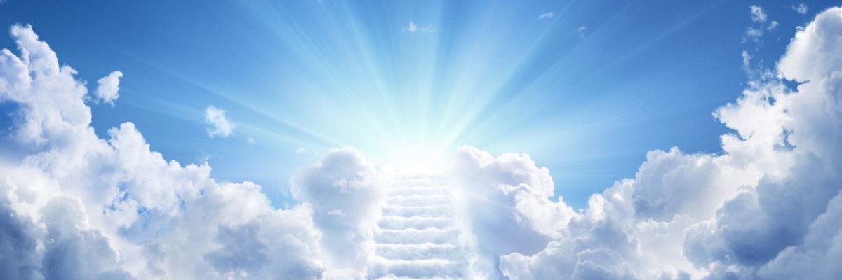 mepizzaa's profile banner image