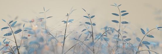 vikayoga's profile banner image