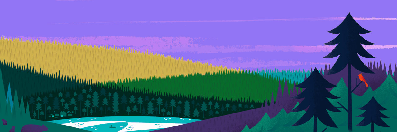 renansdc's profile banner image