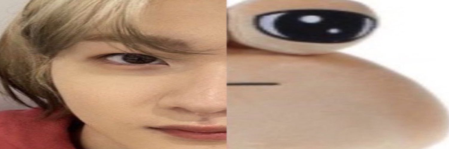 bugqboo's profile banner image