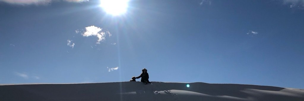 dholst12's profile banner image