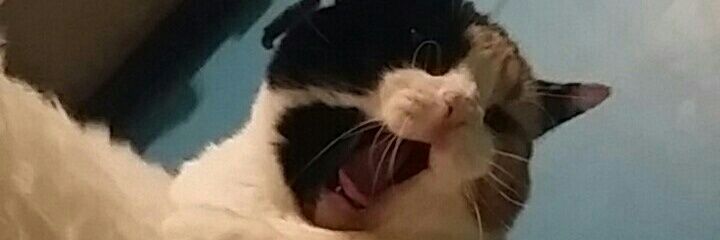 ashley_mooree's profile banner image