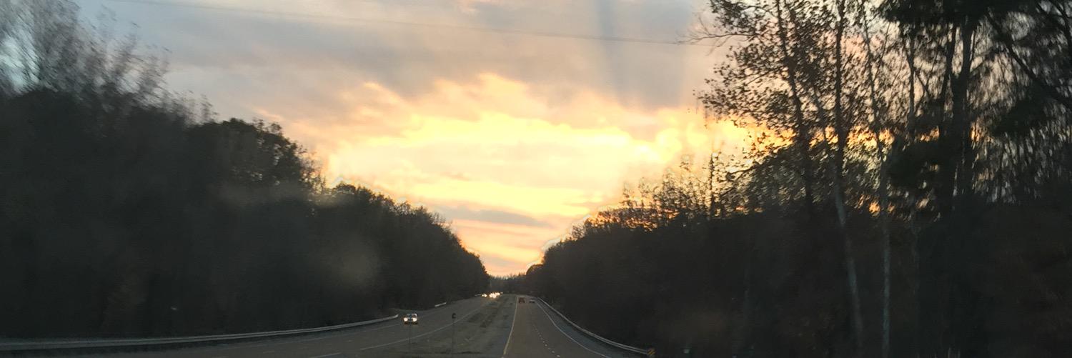 ddiddyrose's profile banner image