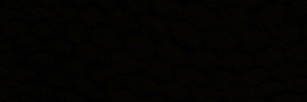 chaeshuas's profile banner image