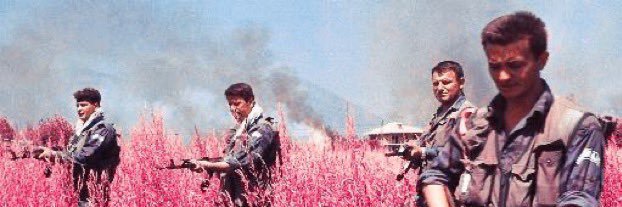 Nicotine Enjoyer banner