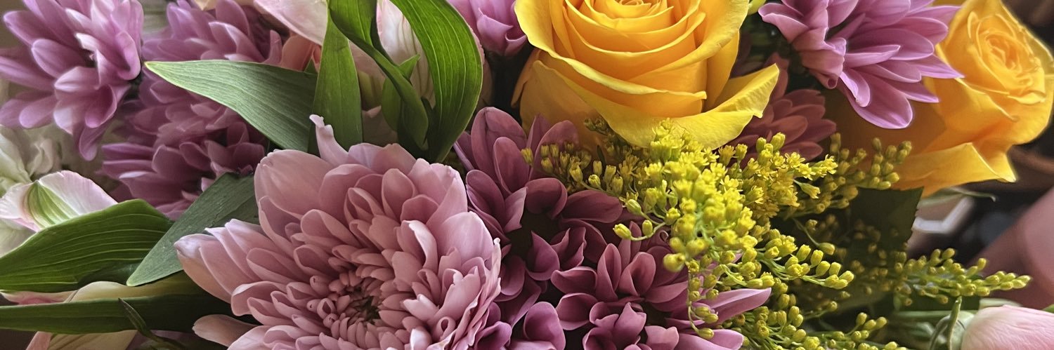 morgan__clement's profile banner image