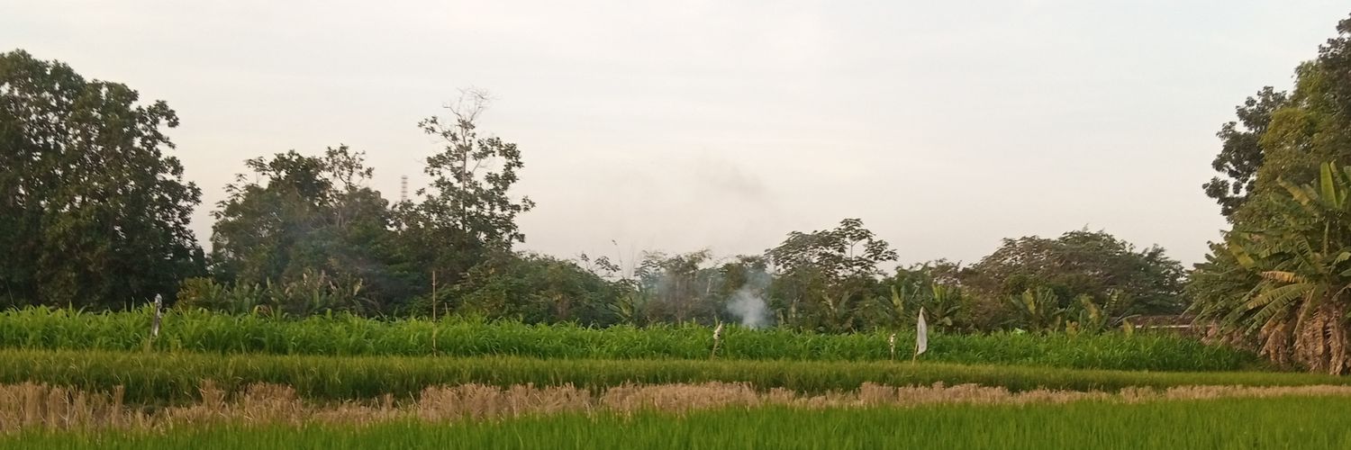 pakwandi's profile banner image