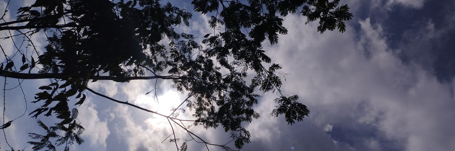 sendu_hjn's profile banner image