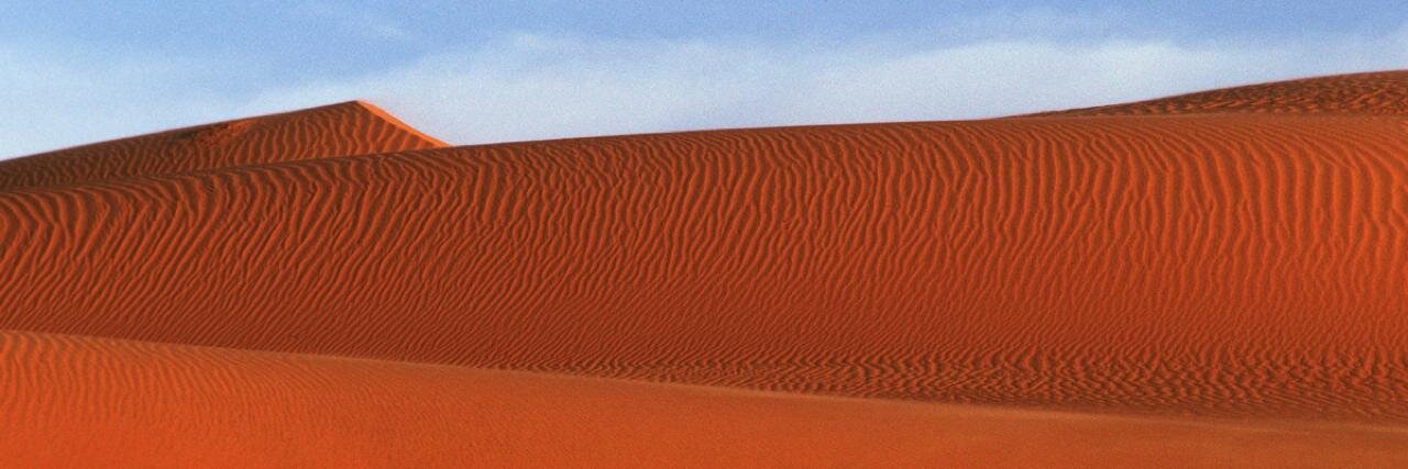 Stuart Freedman banner