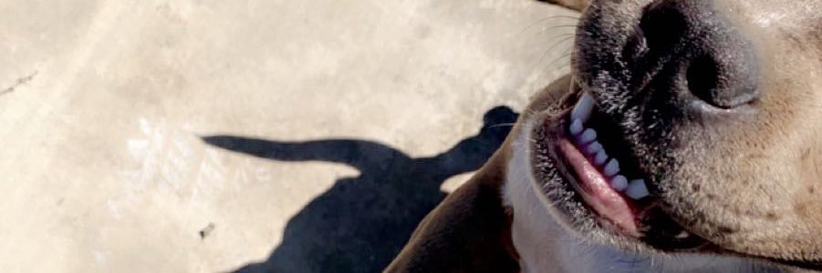 SAMUEL_MILLNER's profile banner image