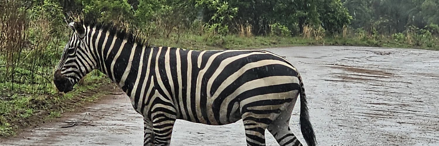 FrRwanda's profile banner image