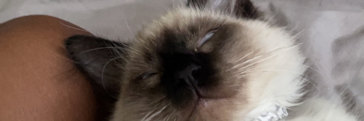 Hello_Antoine's profile banner image