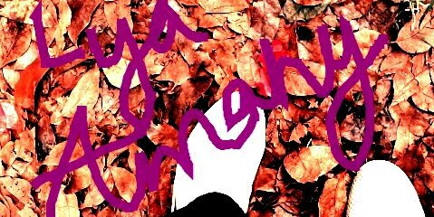 Lya_Amany's profile banner image