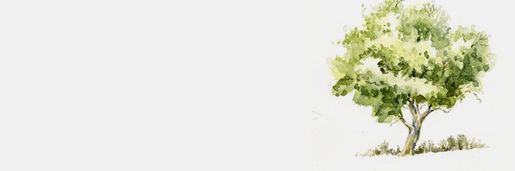 TheAnneMare's profile banner image