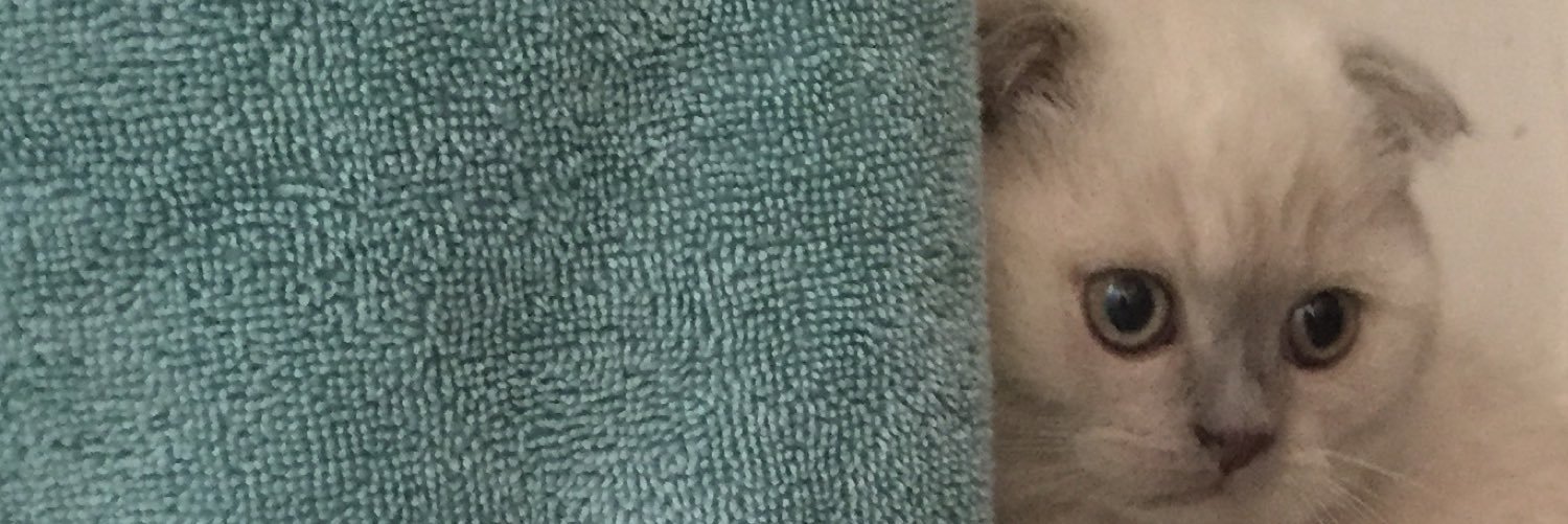 Murphy_yolo's profile banner image