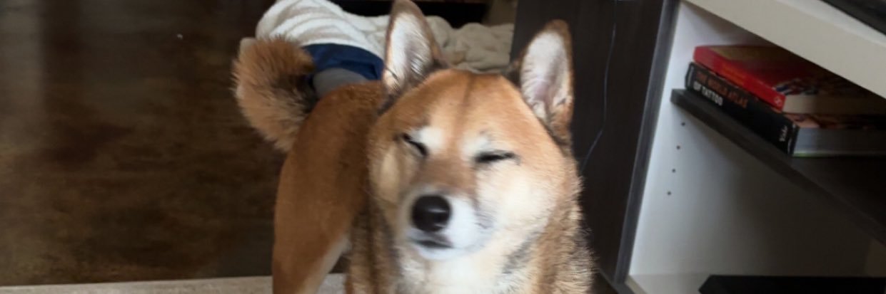 RobbieIsHere's profile banner image