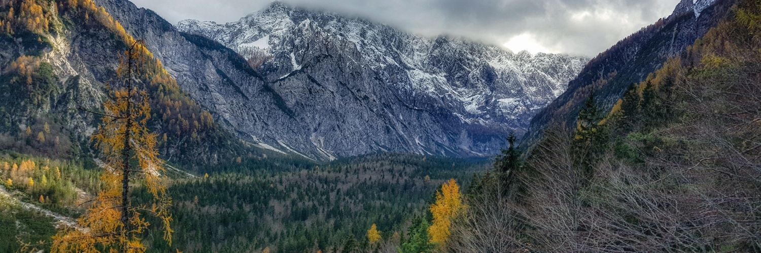 AlenkoKobalenko's profile banner image