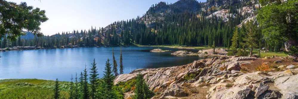 Ryan James Lee-Goodman banner