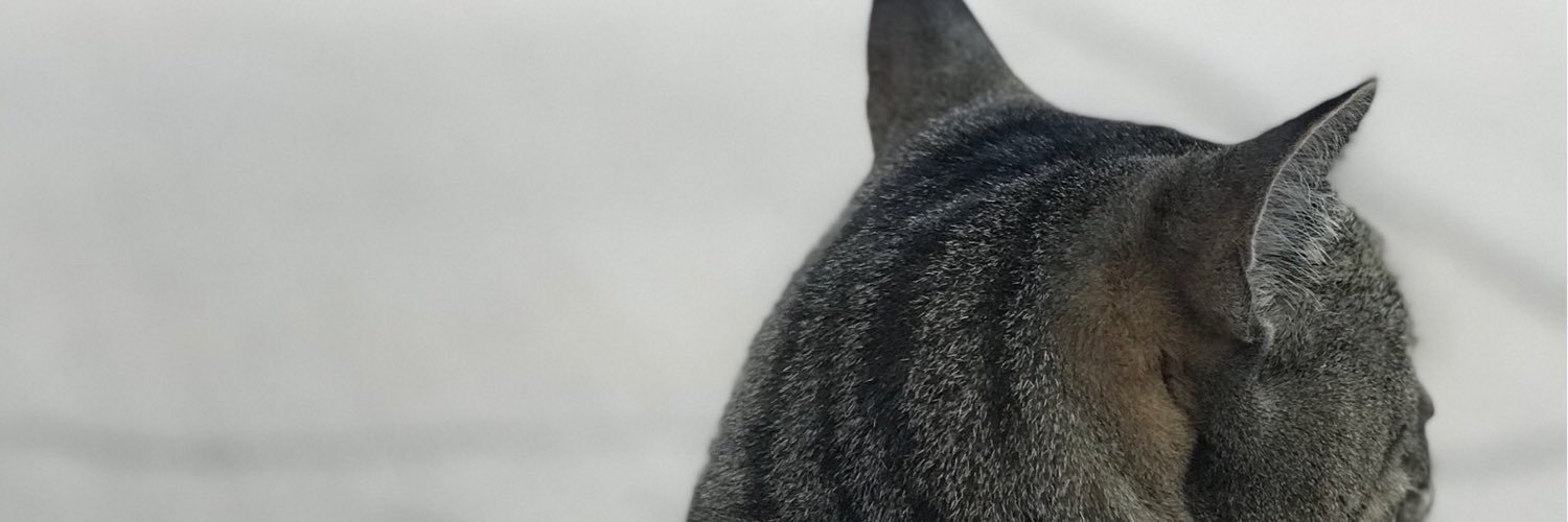 AntellDaniel's profile banner image