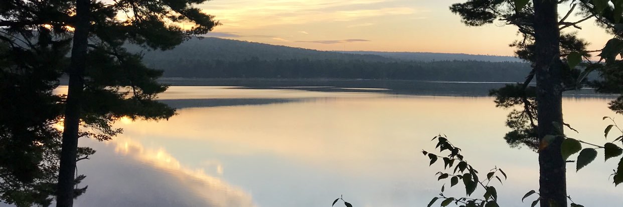 HannahTrues's profile banner image