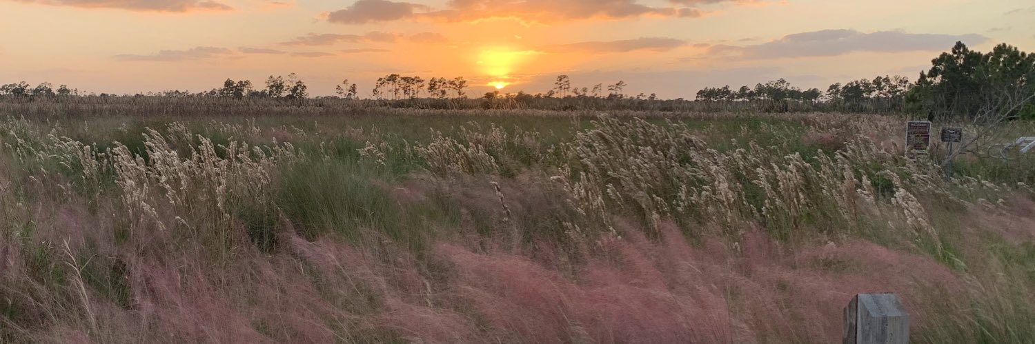 reedsterz's profile banner image