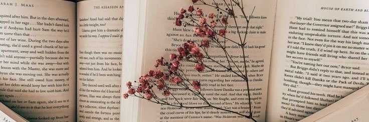 zzee__'s profile banner image