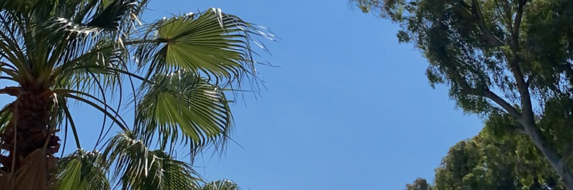 sercnsaygin's profile banner image