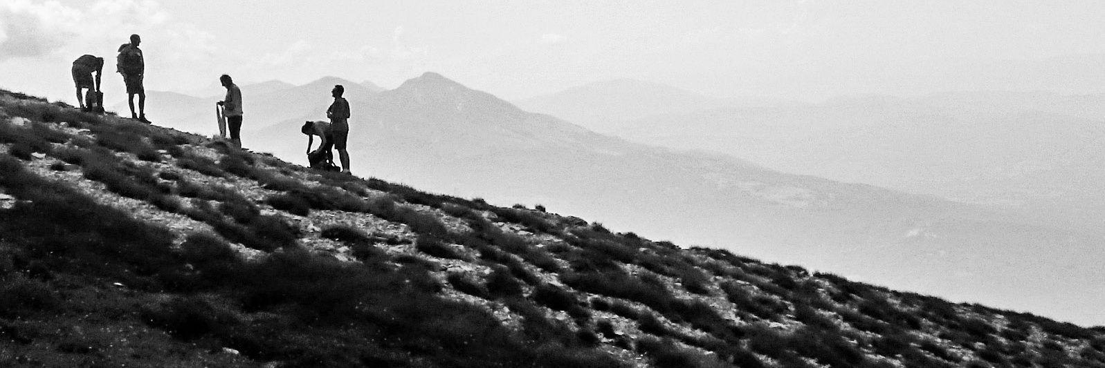 LucaTombesi's profile banner image