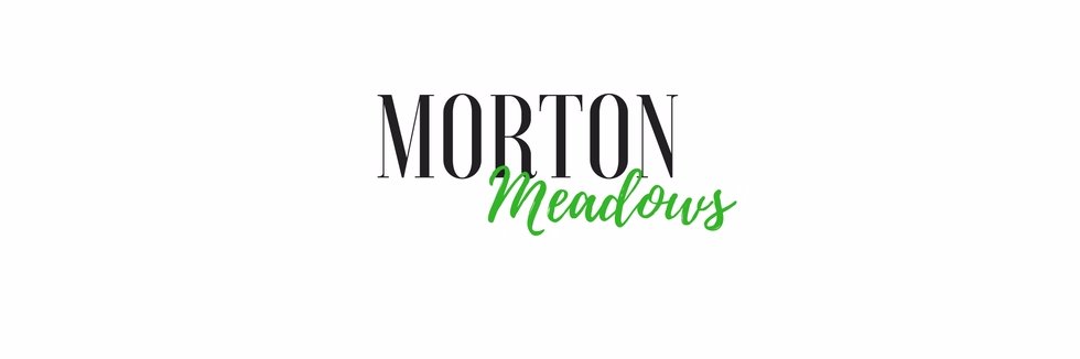 MortonMeadows's profile banner image