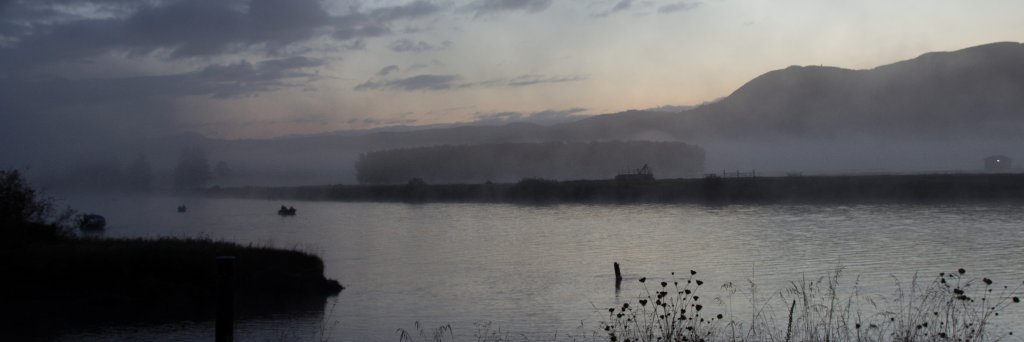 Ewa Hermanowicz banner