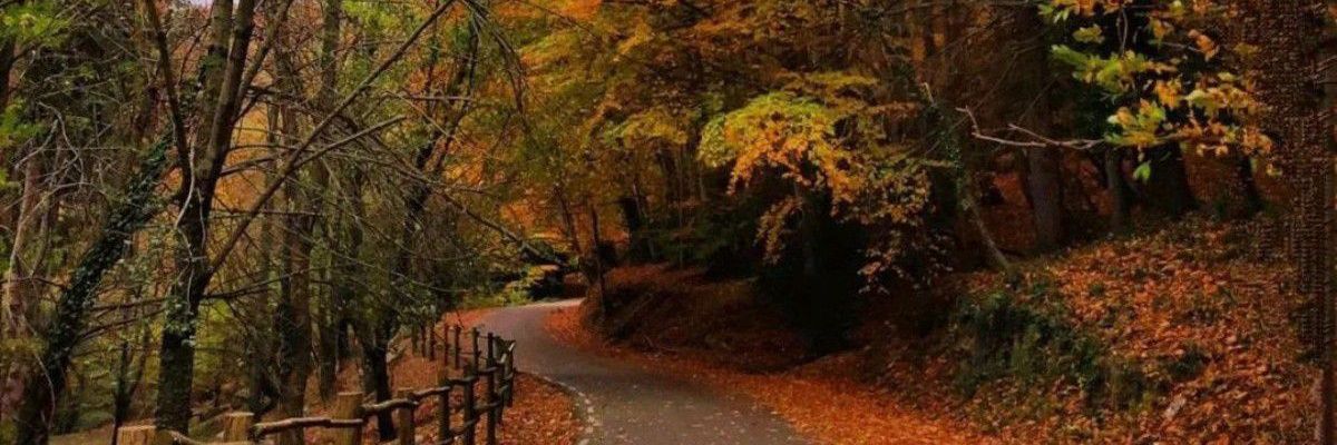 Eisembel's profile banner image