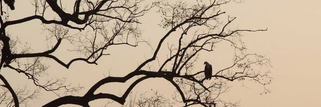 LDMacIntyre's profile banner image