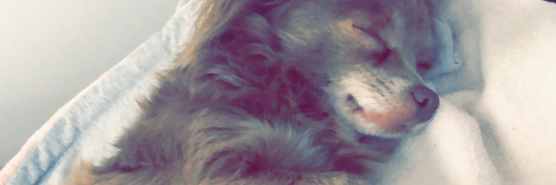 SofieKrantz's profile banner image