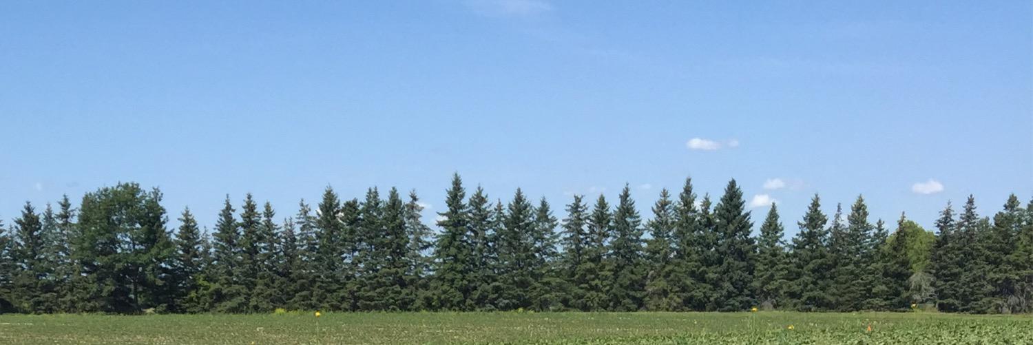 YasminLasry's profile banner image