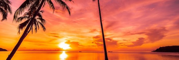 janb29's profile banner image
