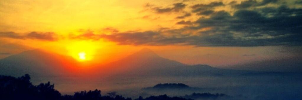lemontea1886's profile banner image