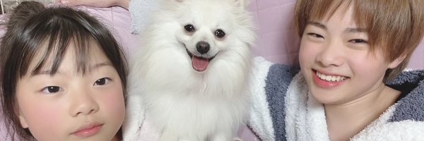 chiimelo74 Profile Banner