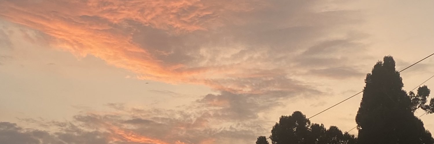 🌻 banner