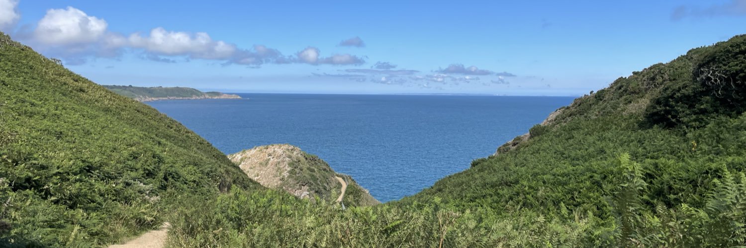 buttonsfan's profile banner image