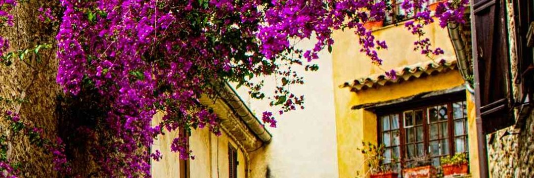 ayoon_abdullah's profile banner image