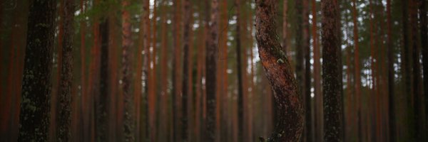 LinaRusch Profile Banner